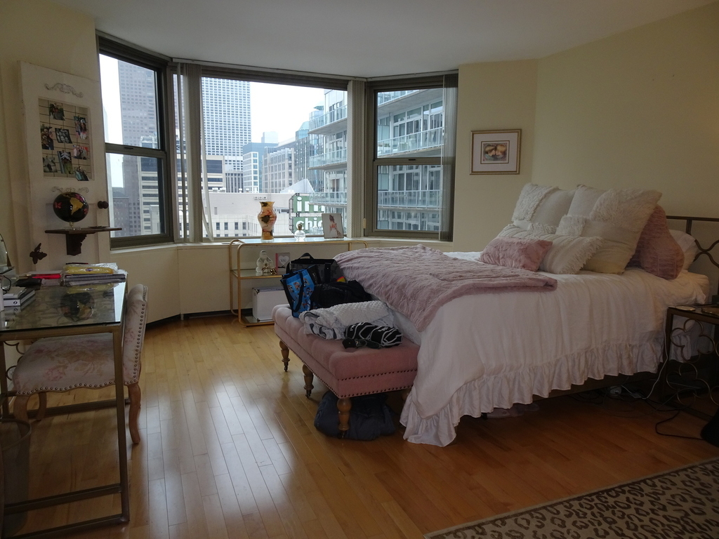 535 North Michigan Avenue - Photo 4