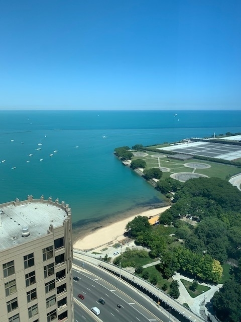 500 North Lake Shore Drive - Photo 7