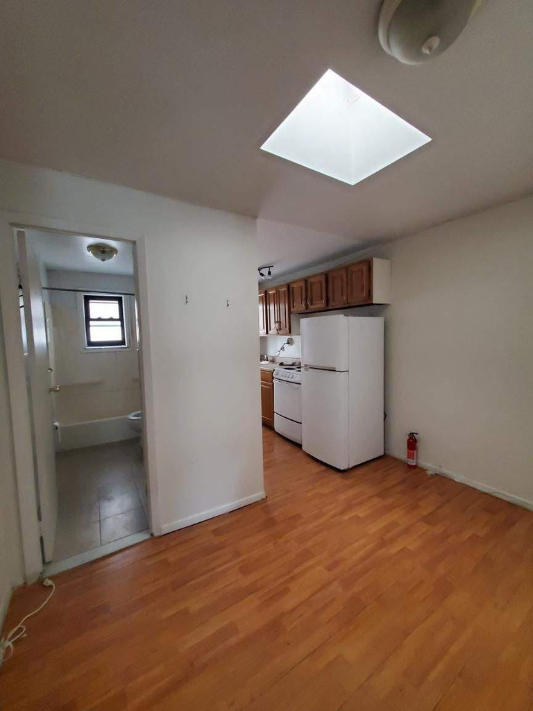 260 West 29th Street - Photo 3