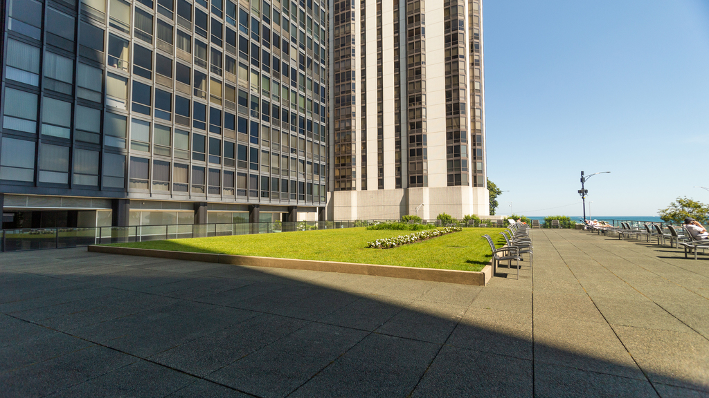 900 North Lake Shore Drive - Photo 9