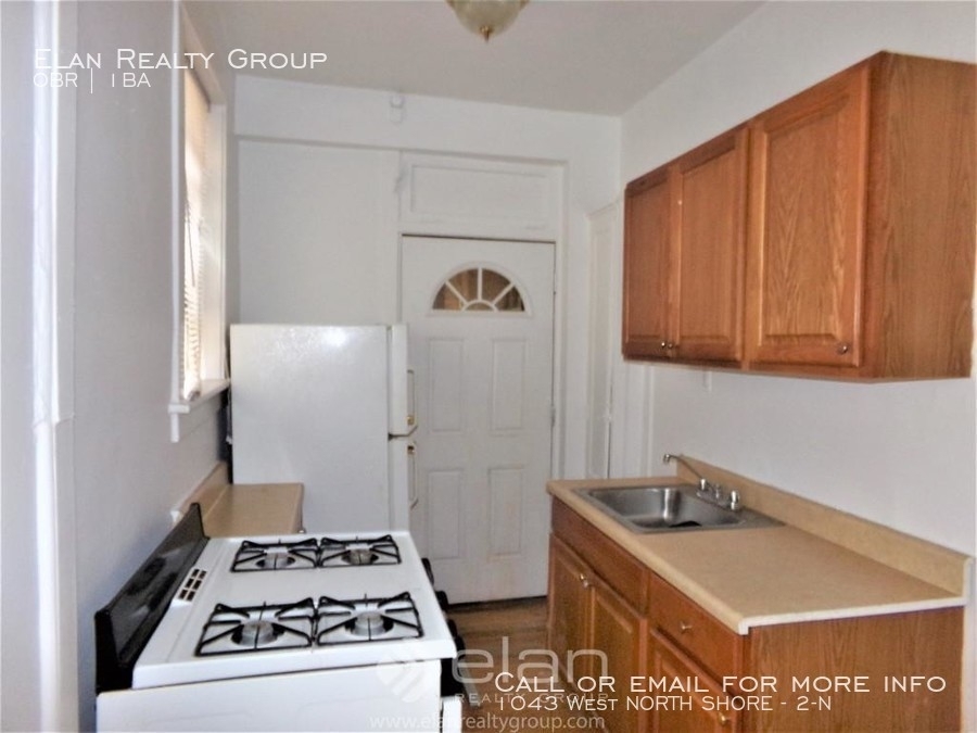 1043 West North Shore - Photo 1