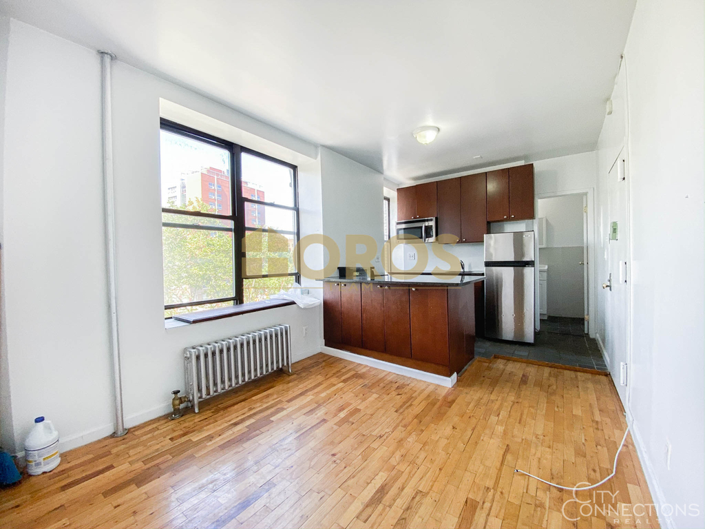 262 East 2nd Street - Photo 3