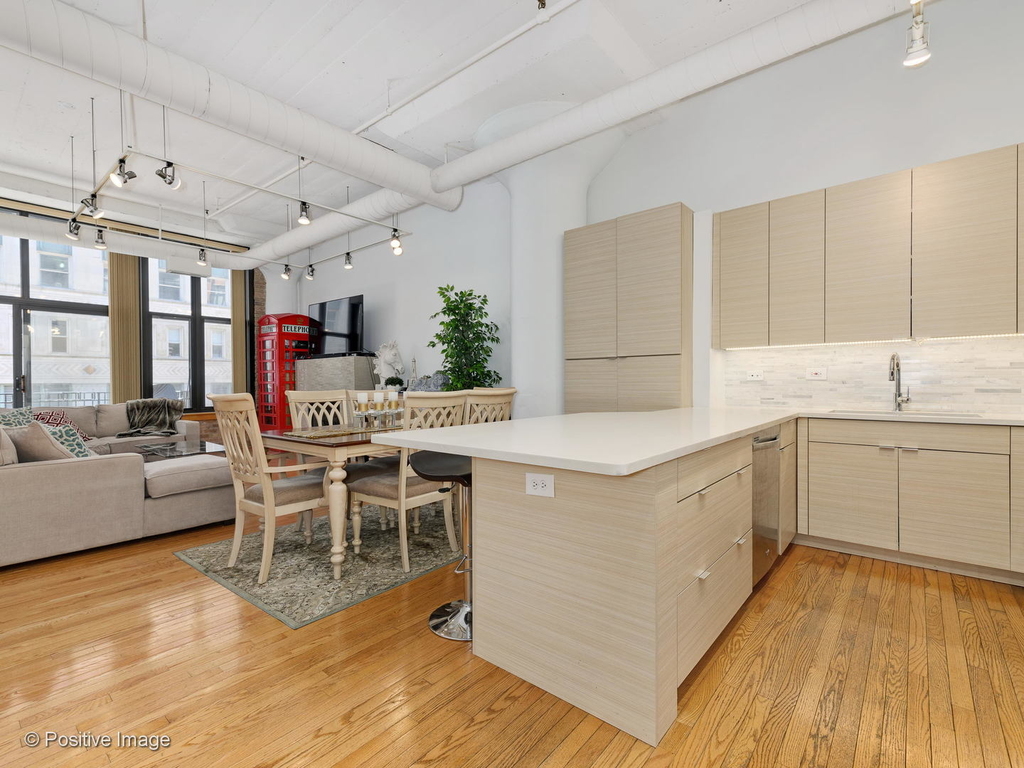 333 West Hubbard Street - Photo 2