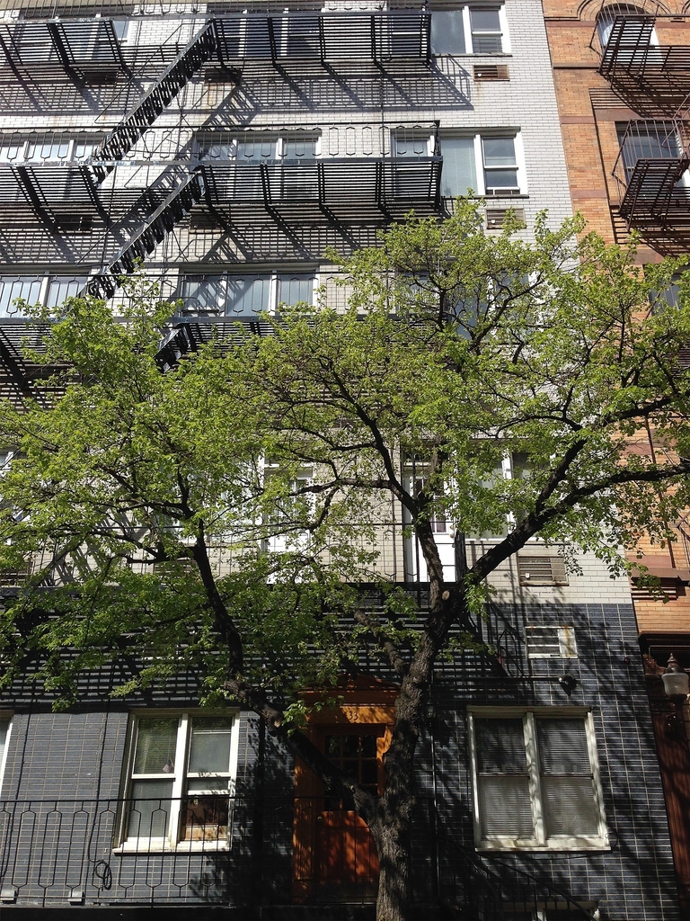 East 83rd Street - Photo 2