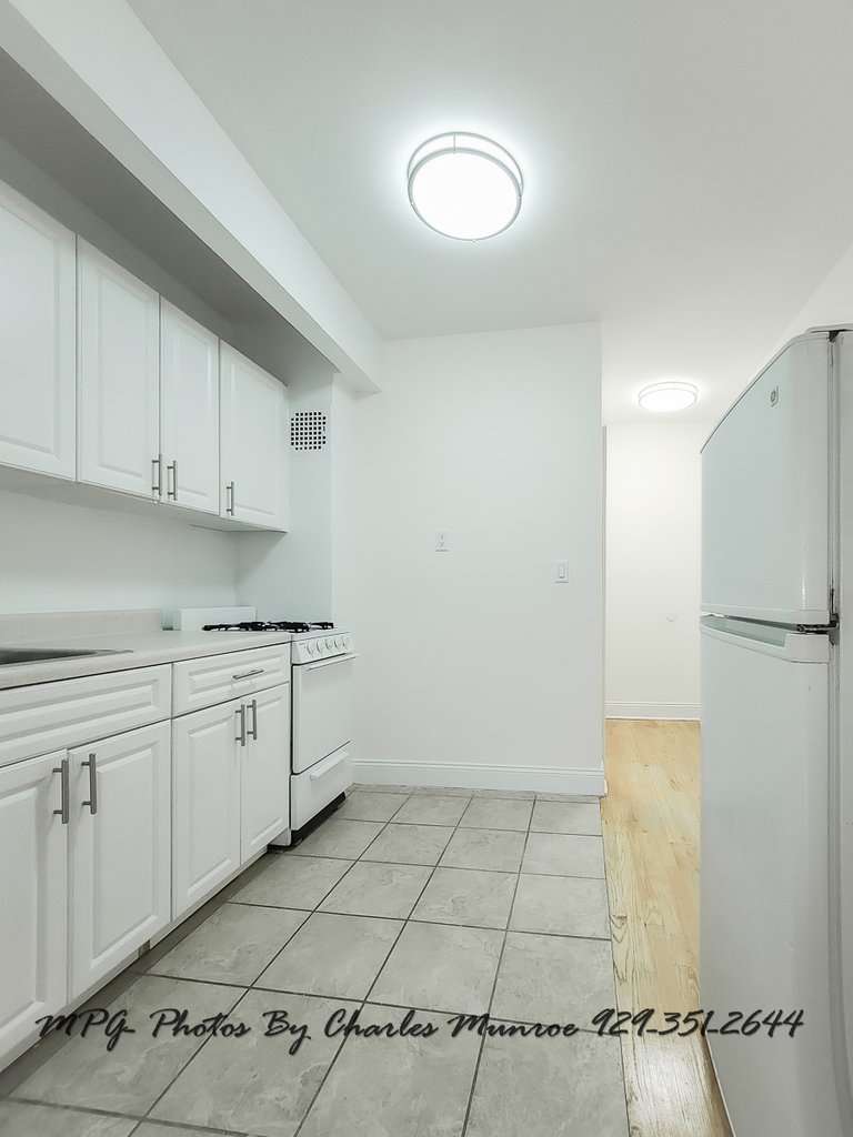 225 East 10th Street - Photo 3