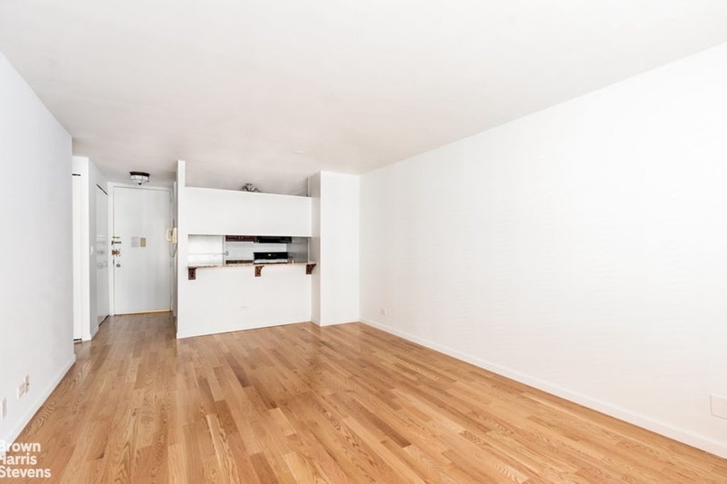 30 West 61st Street - Photo 4