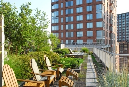 River Terrace - Photo 4