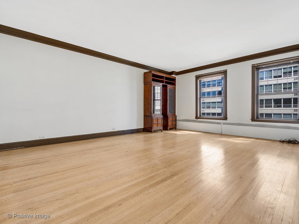 3534 North Lake Shore Drive - Photo 2