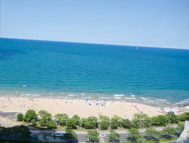 1000 North Lake Shore Drive - Photo 13