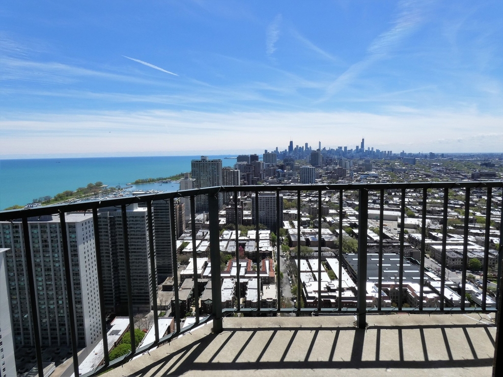 3660 North Lake Shore Drive - Photo 2