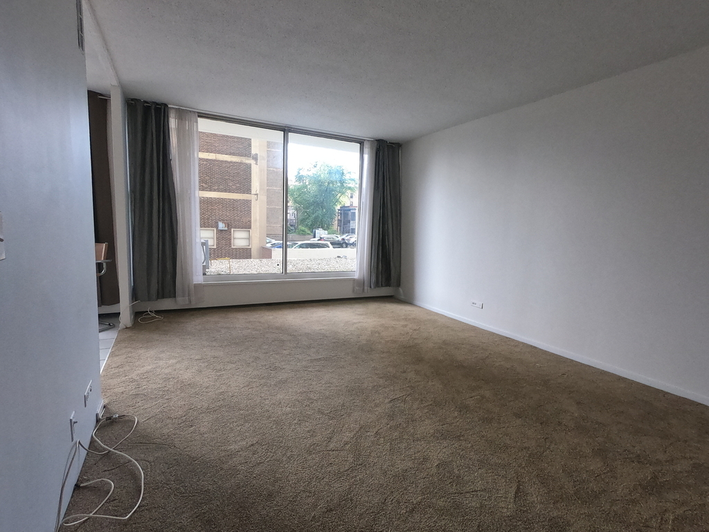 3200 North Lake Shore Drive - Photo 4