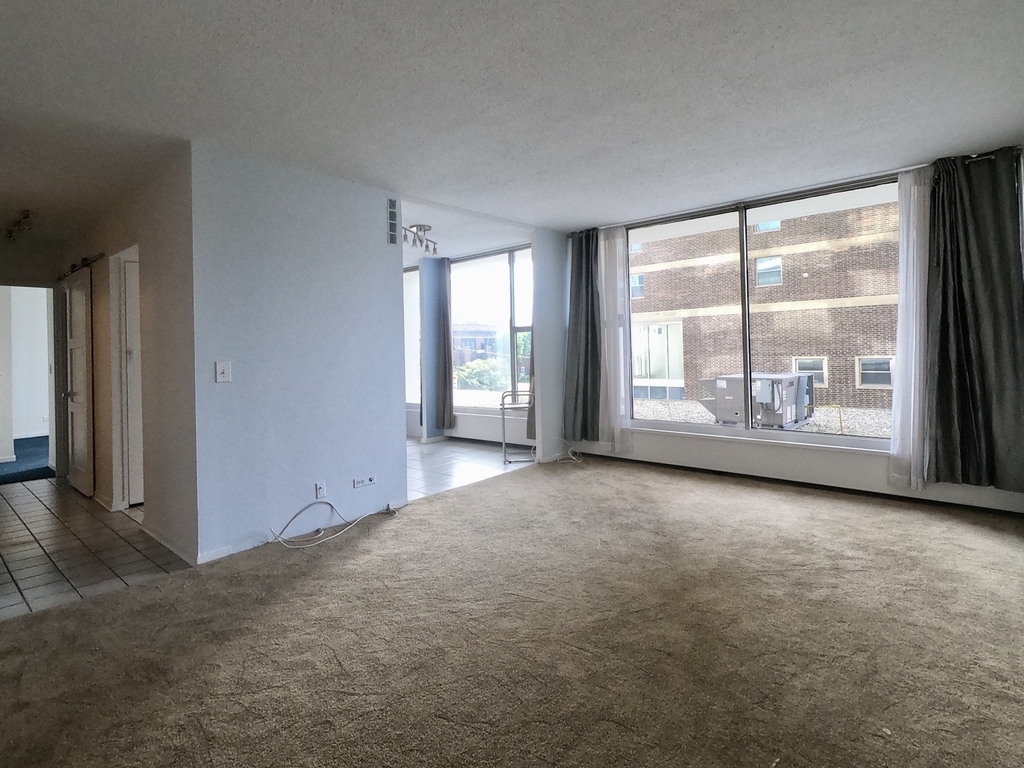 3200 North Lake Shore Drive - Photo 1