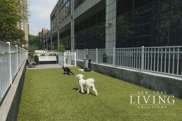 801 Amsterdam Avenue - Photo 17