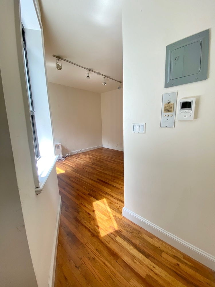 233 East 12th Street - Photo 3