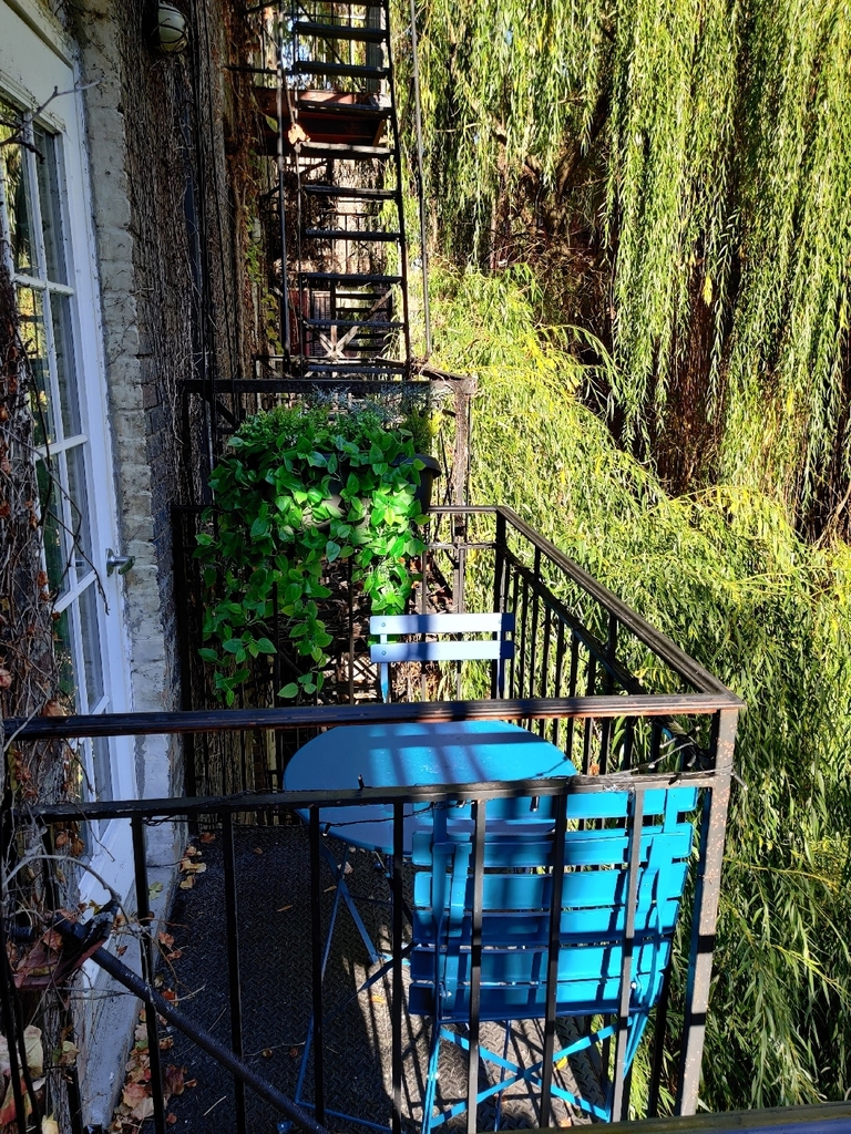 Prince Street/ Mott Street - Photo 1