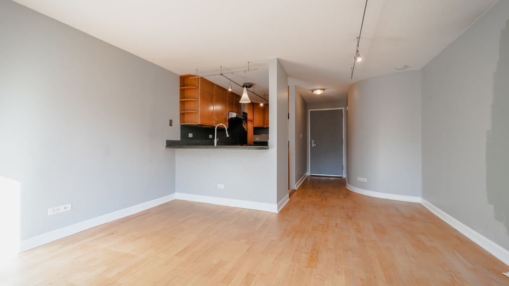 1221 North Dearborn Street - Photo 3