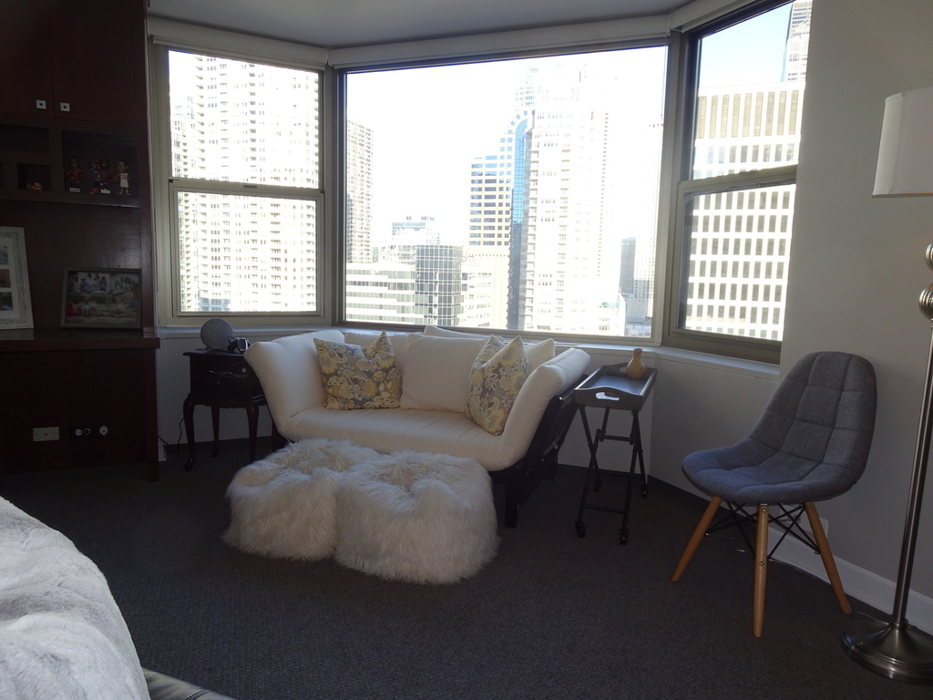 535 North Michigan Avenue - Photo 9