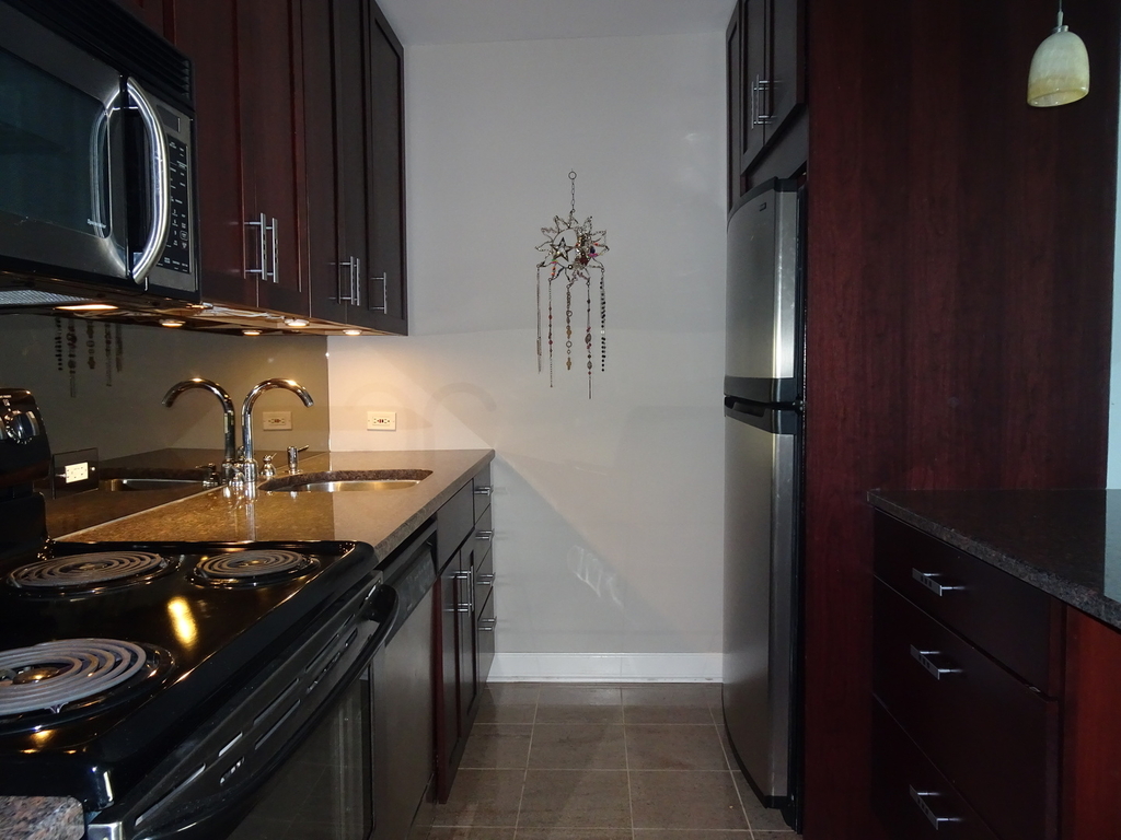 535 North Michigan Avenue - Photo 2