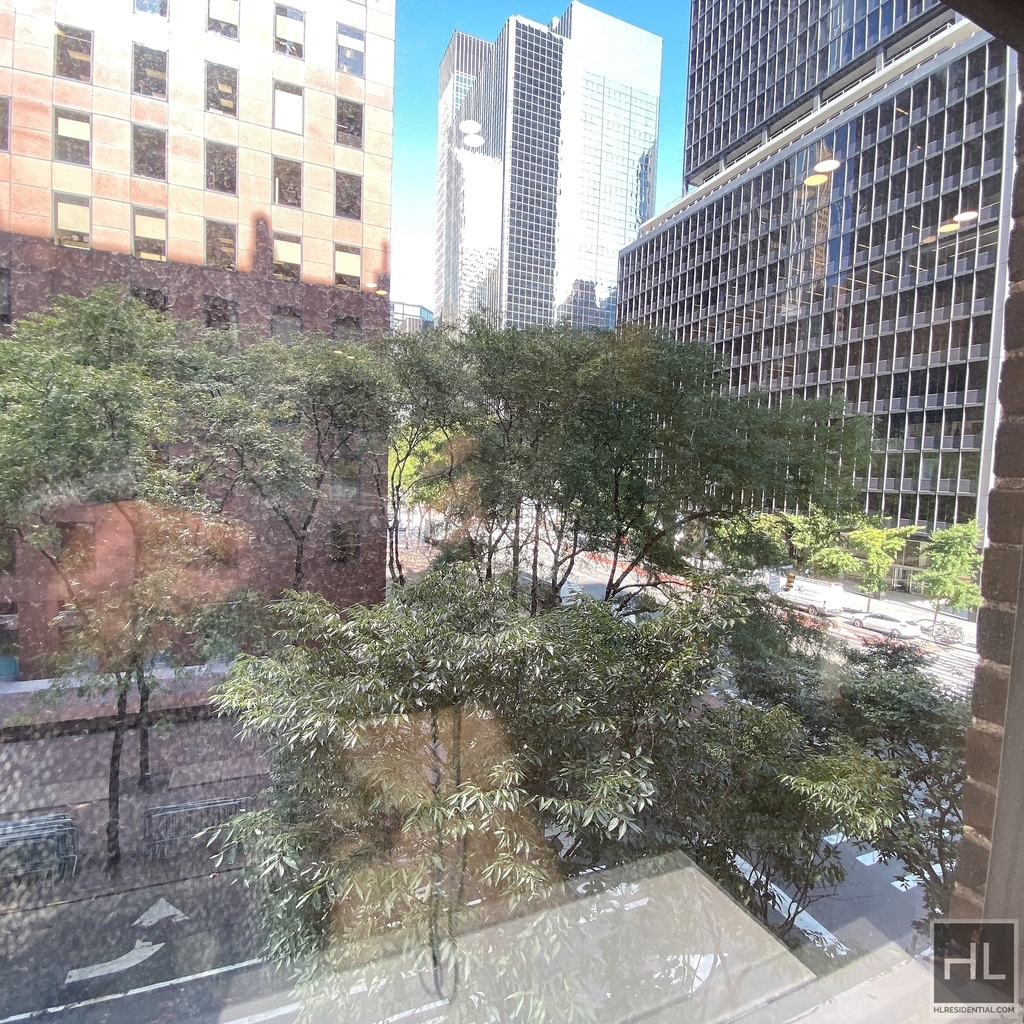 East 48th Street - Photo 5