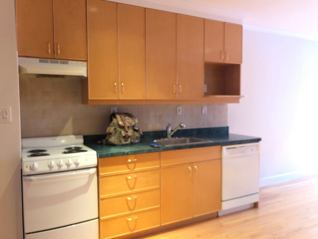 527 West 48th Street - Photo 6