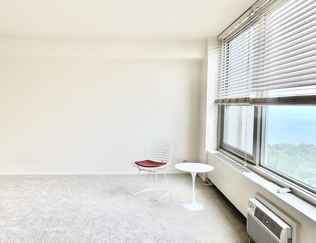 3600 North Lake Shore Drive - Photo 12