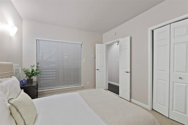 4501 Druid Lane - Photo 16