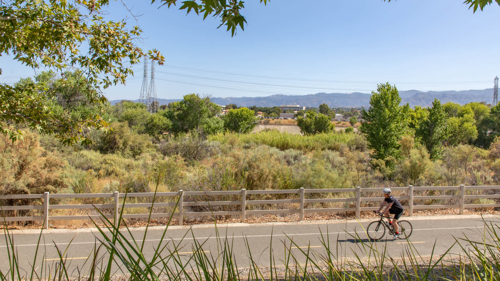 24905 Magic Mountain Parkway - Photo 50