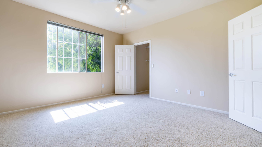 24905 Magic Mountain Parkway - Photo 66