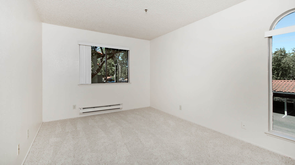 34655 Skylark Drive - Photo 12