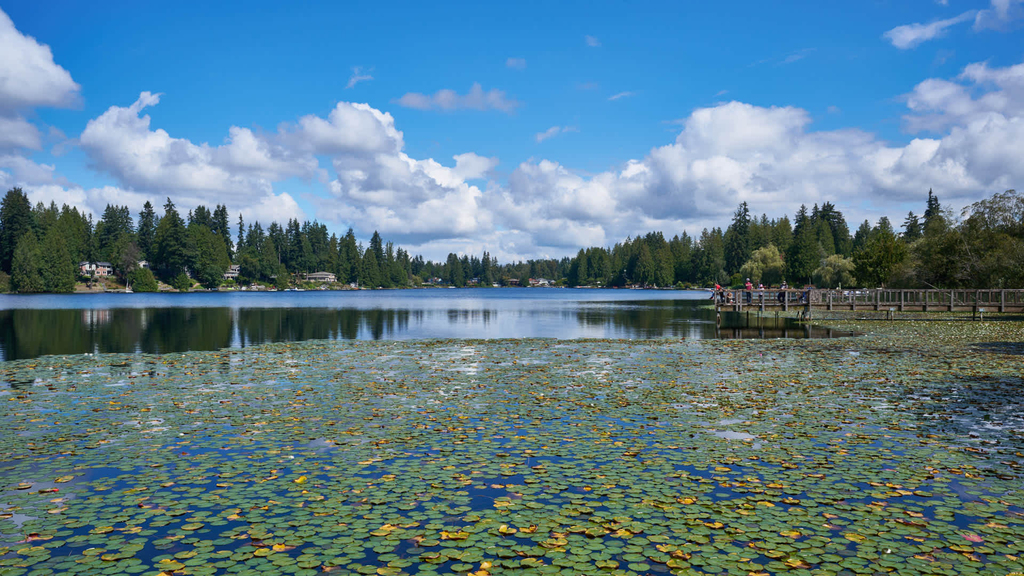 16619 Larch Way - Photo 39