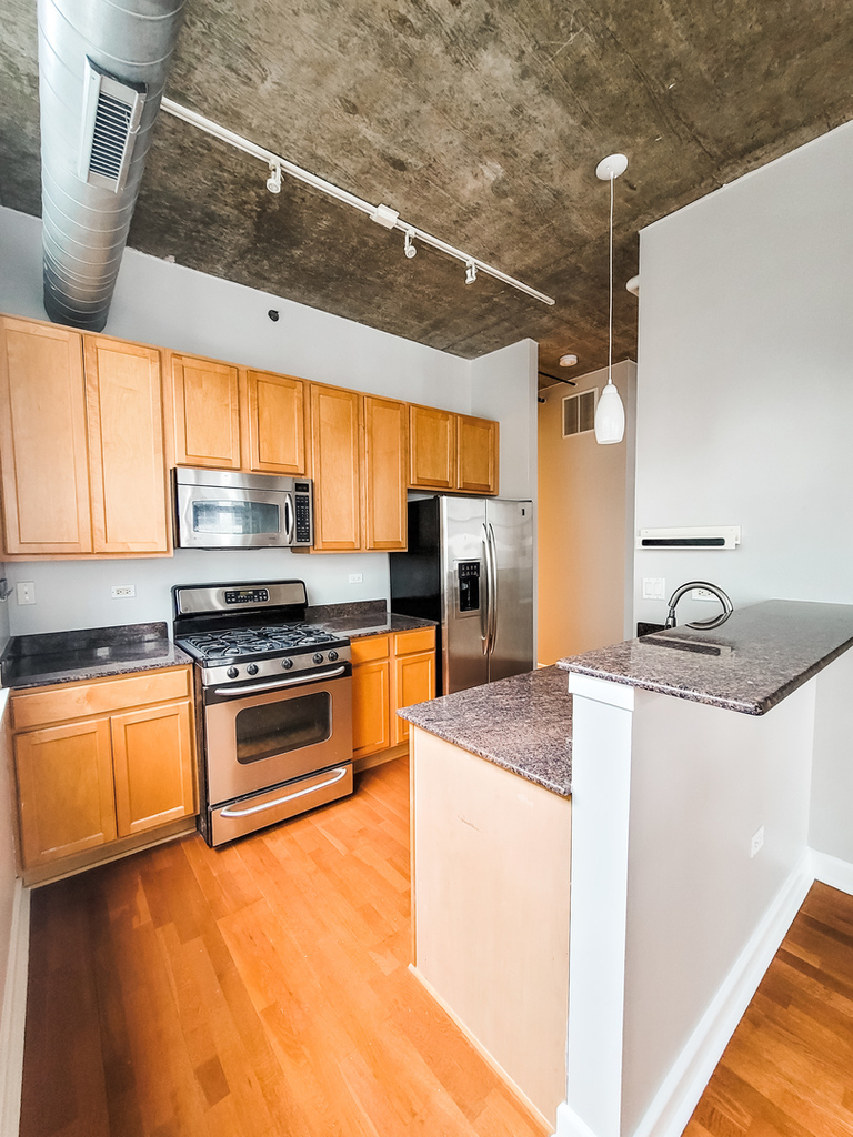 1305 South Michigan Avenue - Photo 4