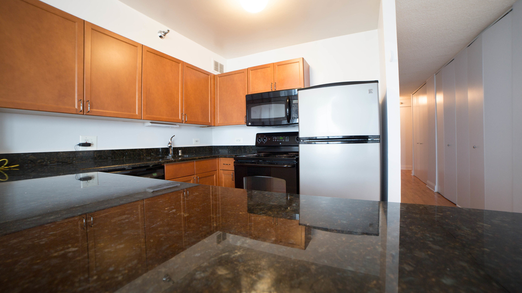 474 North Lake Shore Drive - Photo 5