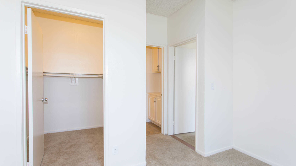 23100 Avenue San Luis - Photo 13