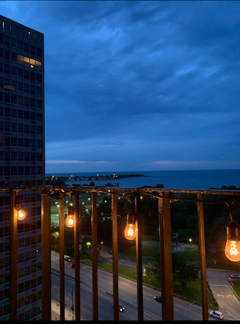 3550 North Lake Shore Drive - Photo 8