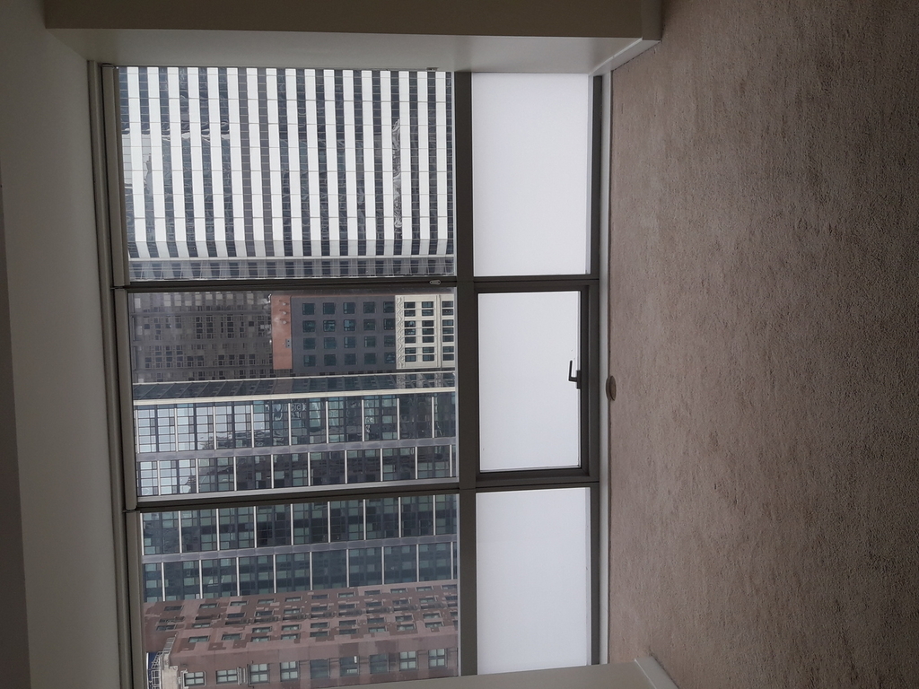 8 East Randolph Street - Photo 11