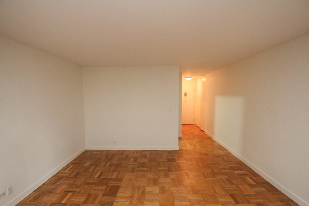 333 East 49th Street ZIP 10022 - Photo 2