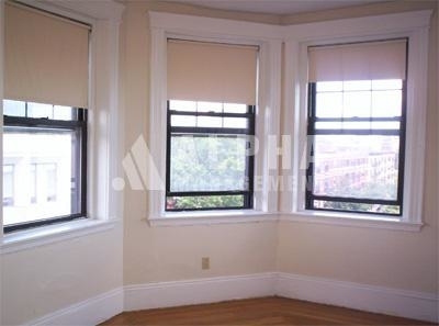 207 Hemenway St. - Photo 5