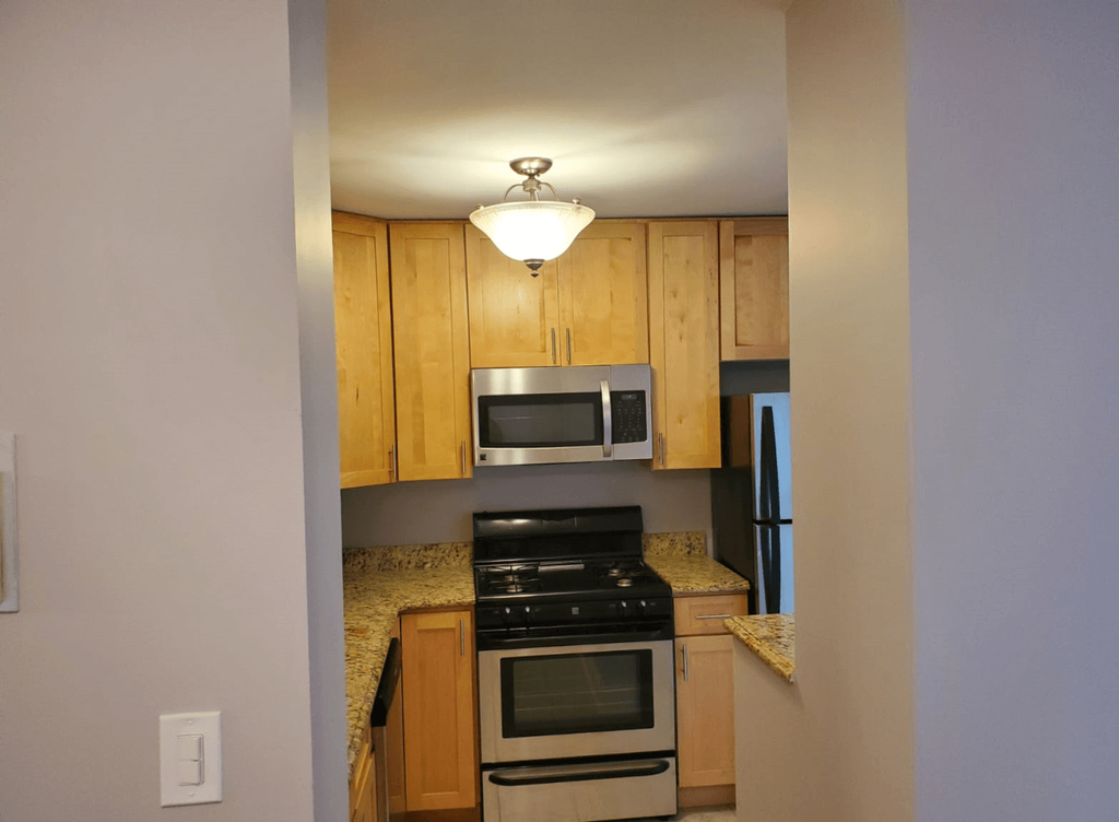 803 Neil Ave bronx - Photo 1