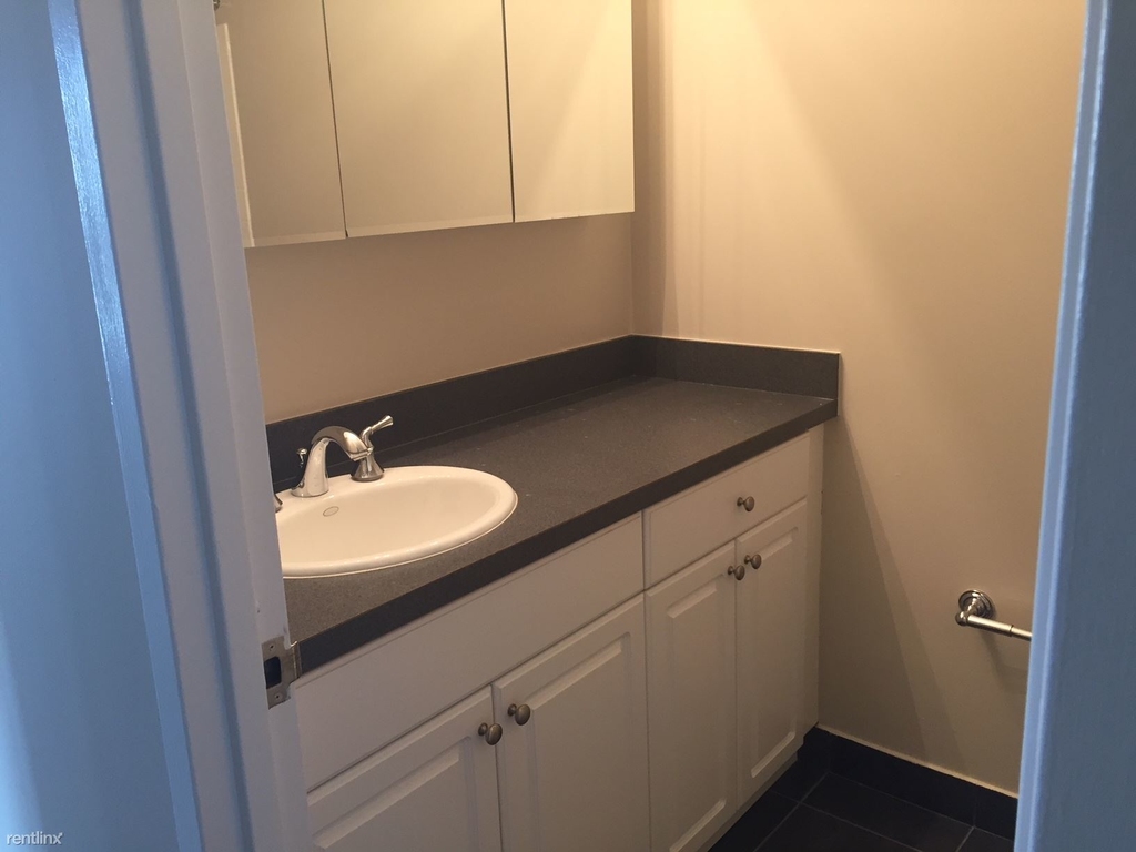 10 E Ontario St Apt 4106 - Photo 12