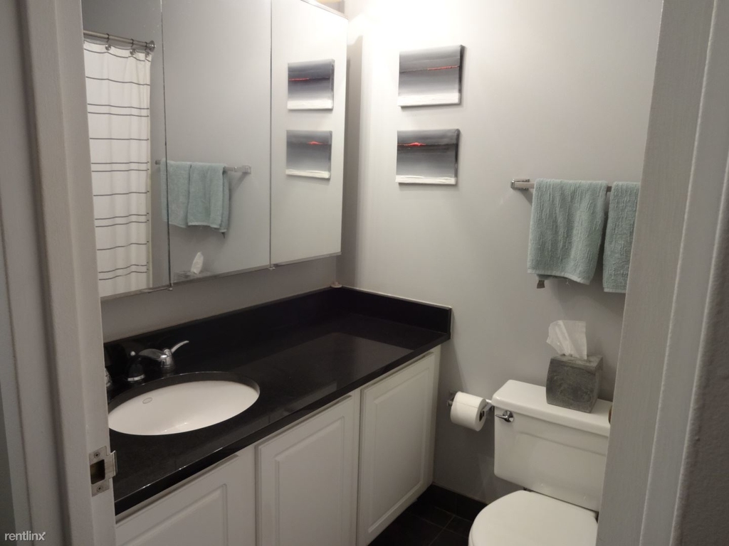 10 E Ontario St Apt 3810 - Photo 3