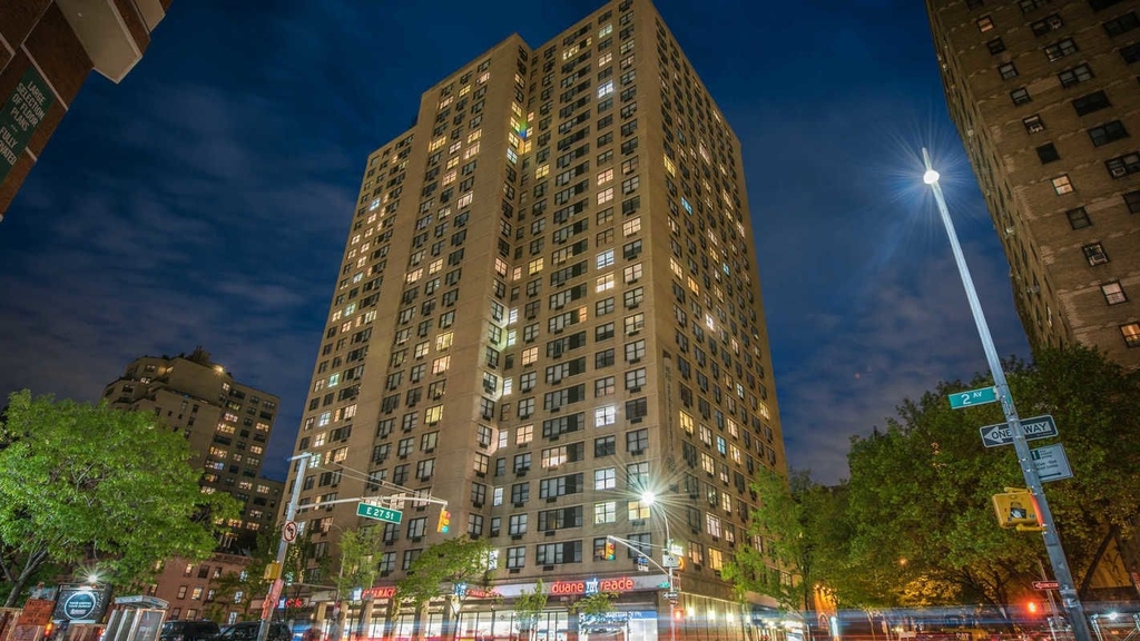 240 East 27th Street - Photo 10