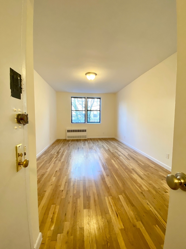 411 East 81st Street - Photo 1