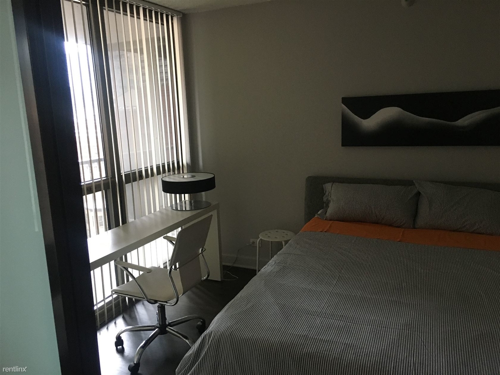 10 E Ontario St Apt 1007 - Photo 12