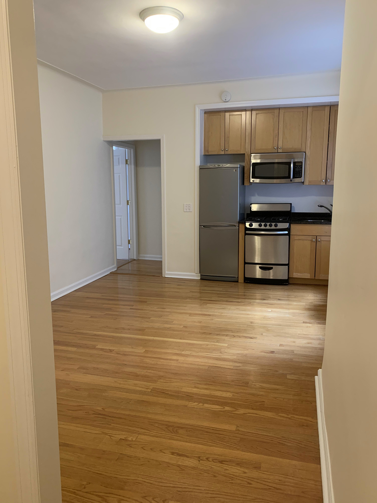 117 West 13th Street - Photo 1