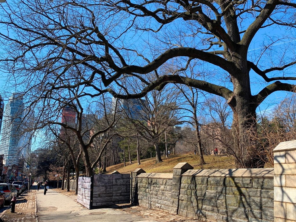 Fort Greene Park - Photo 11