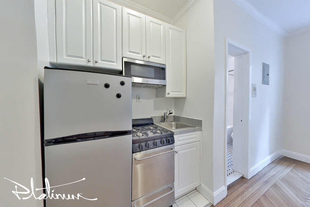 117 West 13th Street - Photo 2