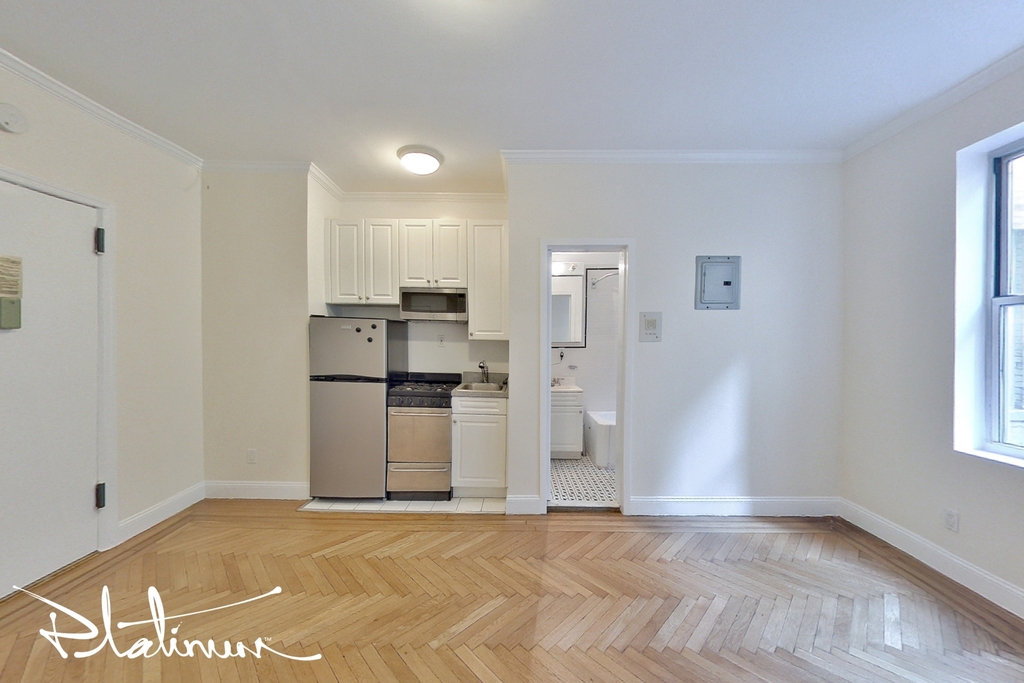 117 West 13th Street - Photo 1