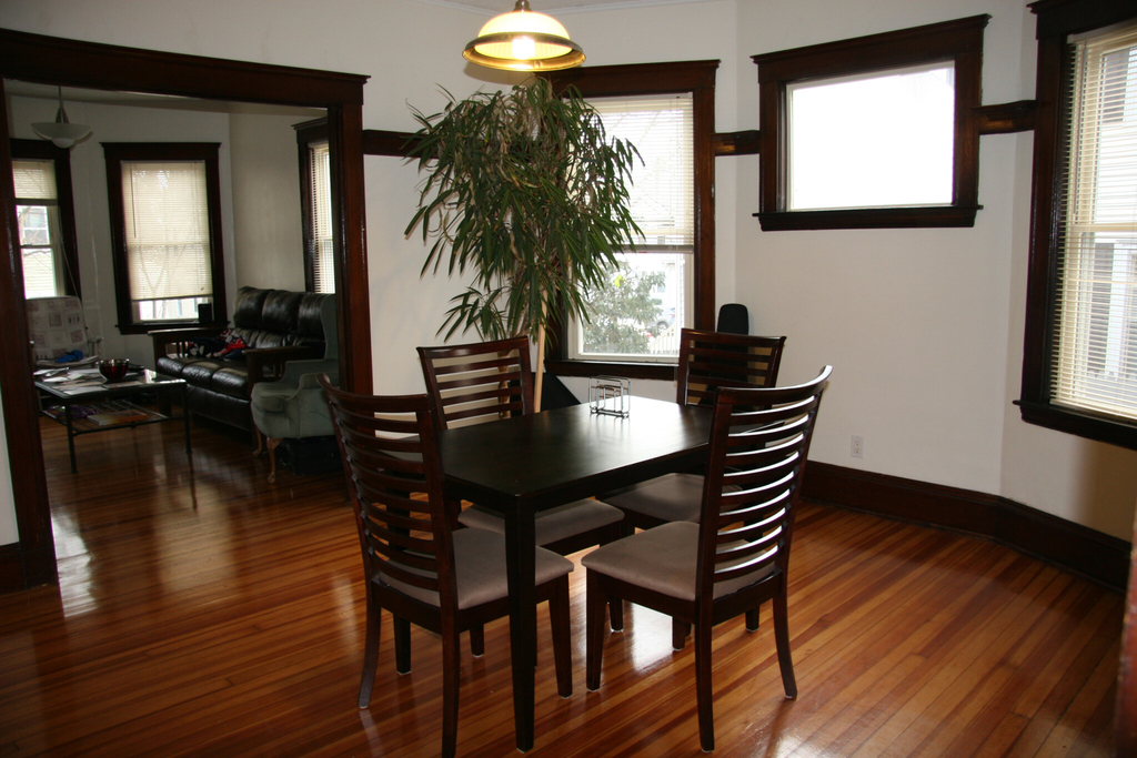 57 Hobson St. - Photo 3