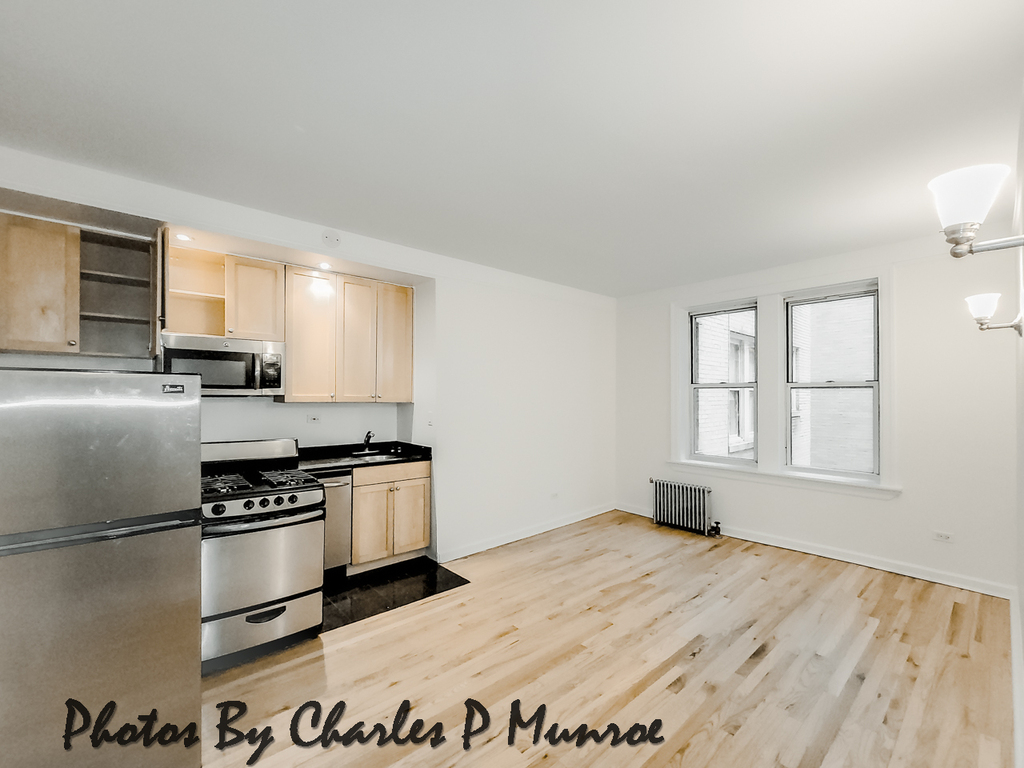 117 West 13th Street - Photo 0