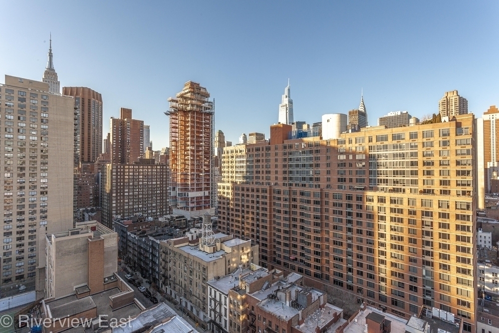 251 East 32nd Street - Photo 3